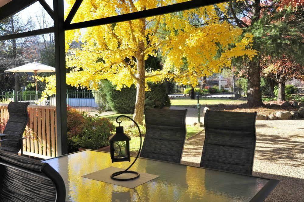 The Birch House - Silver Birches Accommodation Bright Exterior foto