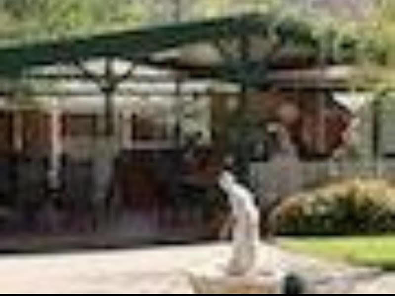 The Birch House - Silver Birches Accommodation Bright Exterior foto