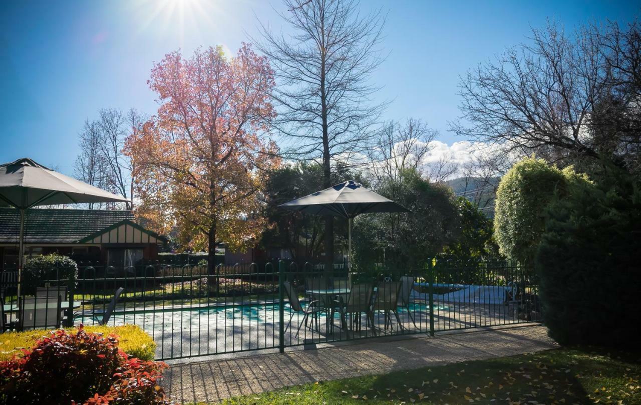 The Birch House - Silver Birches Accommodation Bright Exterior foto