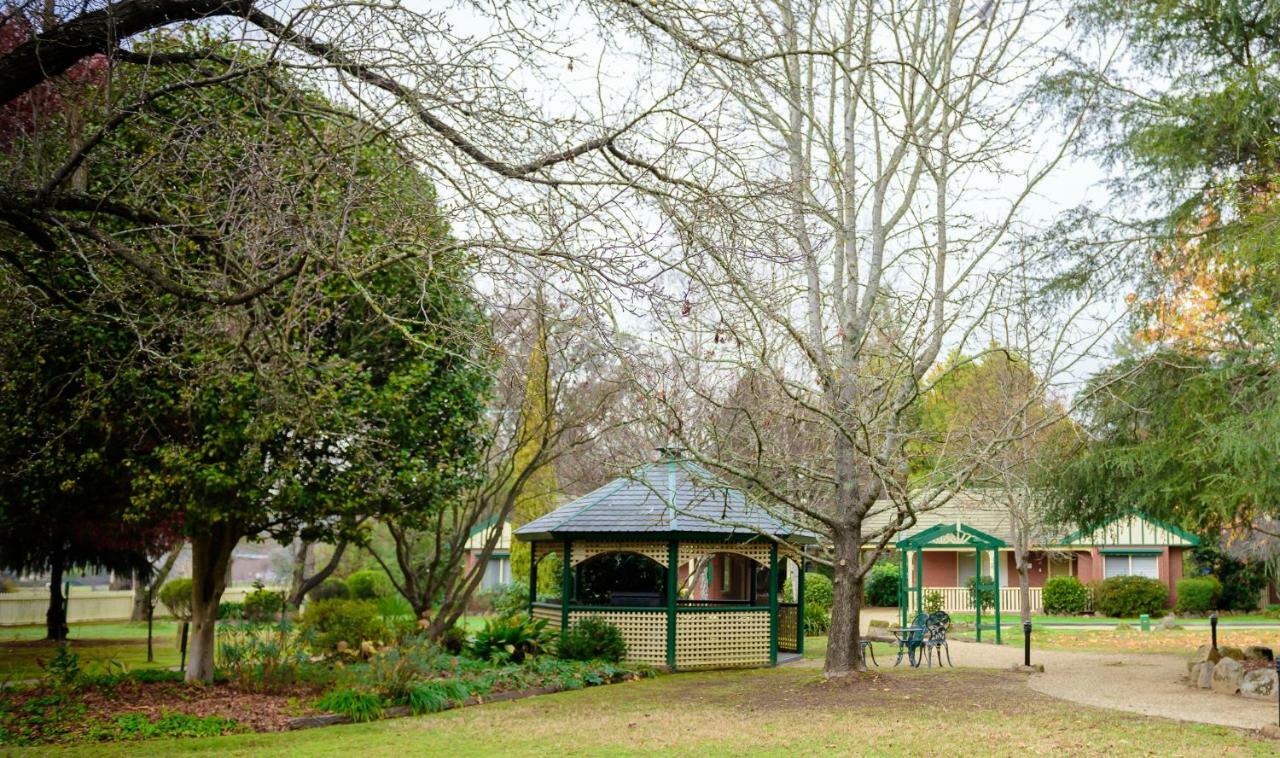 The Birch House - Silver Birches Accommodation Bright Exterior foto